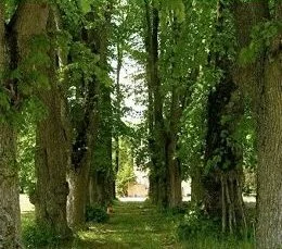 Our Gardens - NuBeginnings weight loss retreat, fat camp